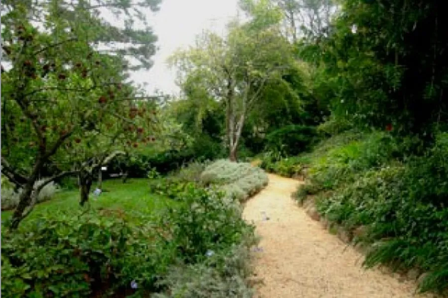Garden pathway