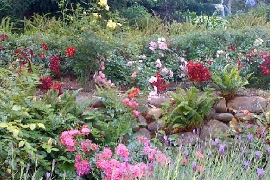 Cozy backyard patio
