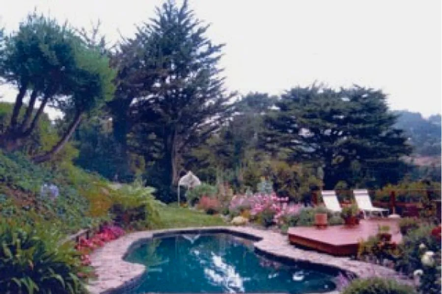 Refreshing swimming pool