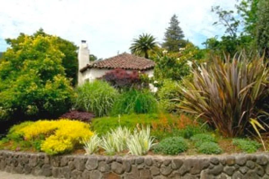 Scenic San Anselmo view