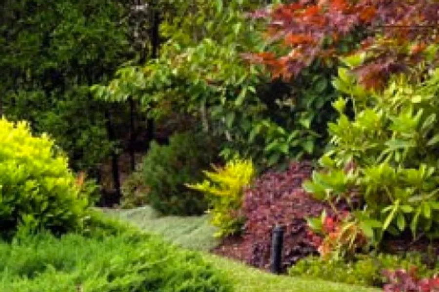 Japanese-style garden