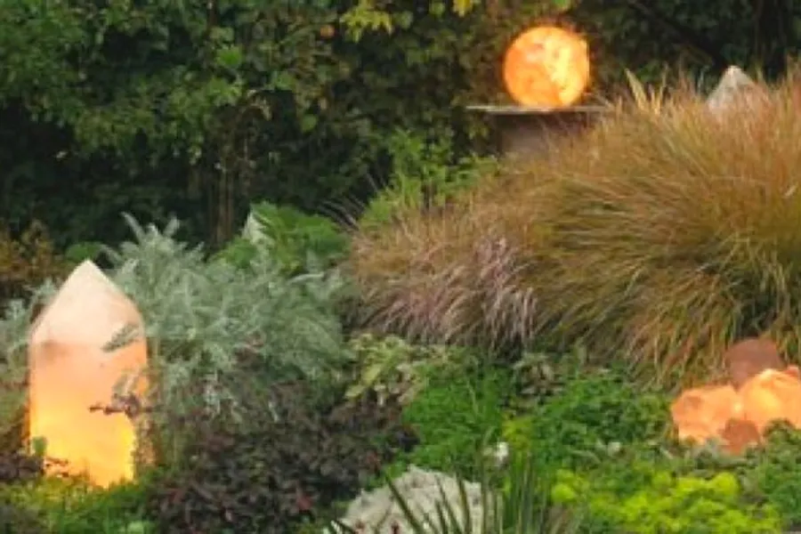 Mystical garden landscape