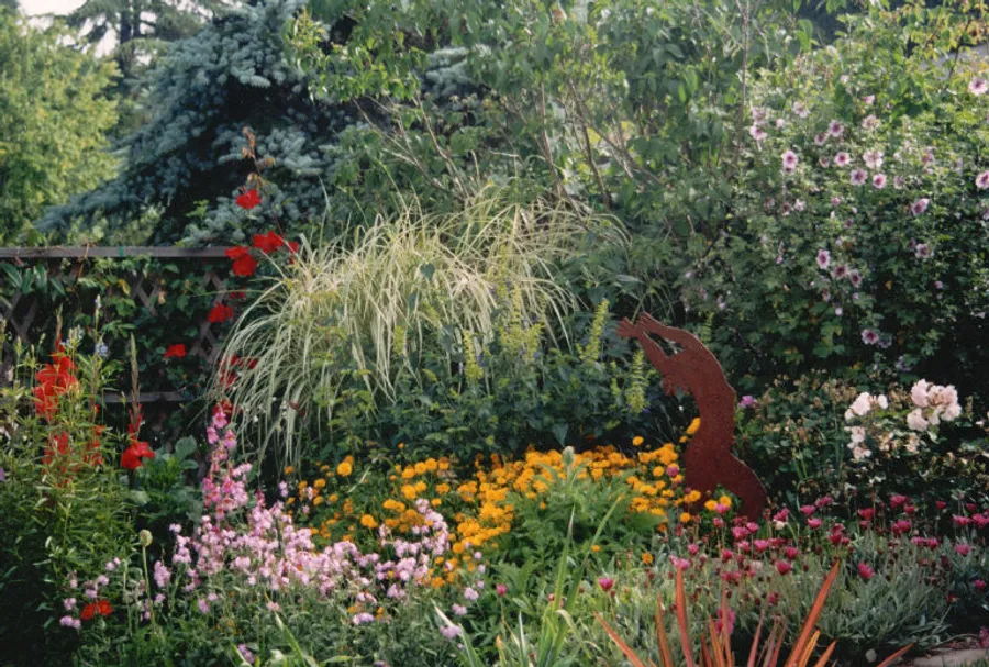 Outdoor landscape