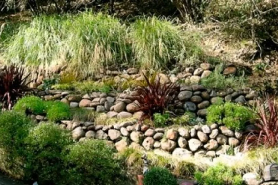 Rustic rocky driveway