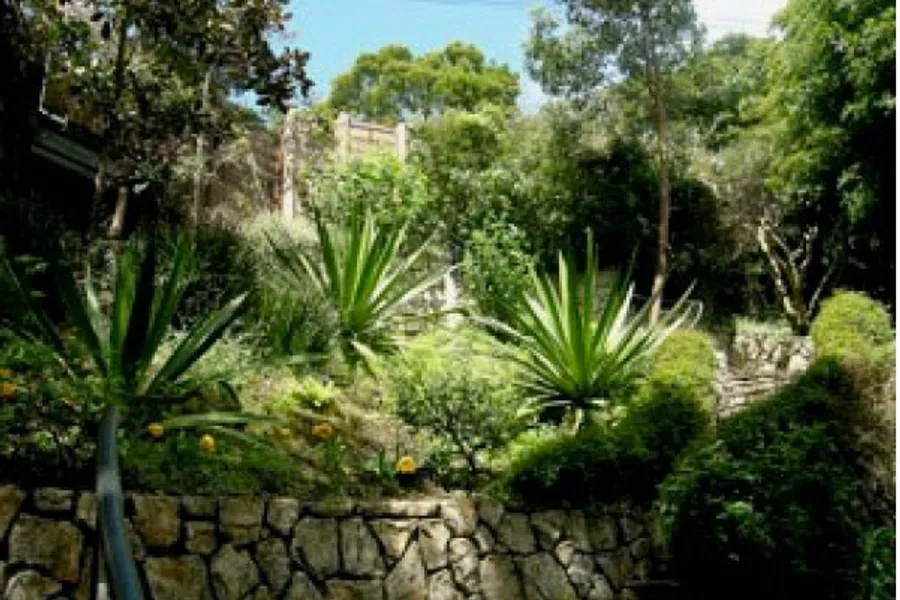 Lush green hillside