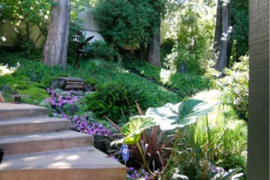 Shady garden steps