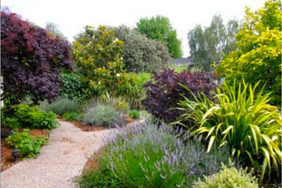 Diverging pathways in nature