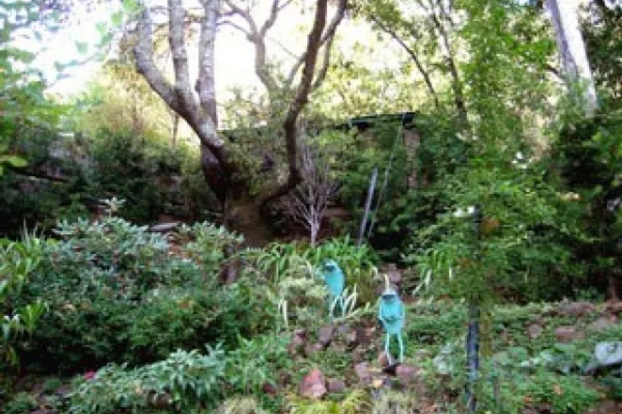 Whimsical garden setting